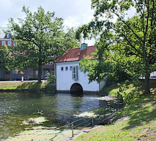 Lauschiger Platz am Kleinen Kiel