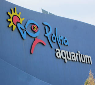 Palma Aquarium