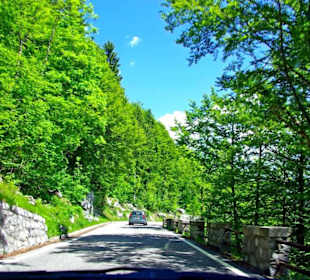 Plöckenpass 2010 die ganze Strecke