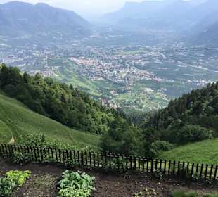 Gemüsegarten