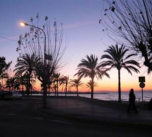 Sonnenuntergang am Hafen