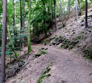 Auf schattigen Wegen