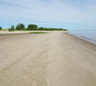Am Strand der Insel Krautsand