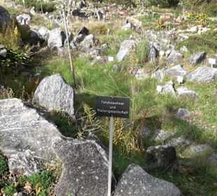 Alpinum