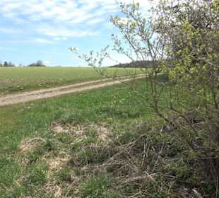 Heckenerlebnispfad Apfelstetten