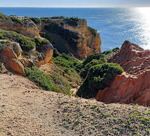 Seven Hanging Valleys Trail 