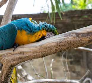 Hey, was willst Du von mir