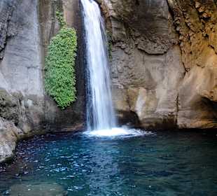 Safari Alanya mit The Sherlock Holmes