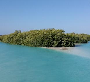 Sian Ka'an