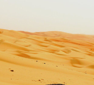 Sanddünen in der Rub al-Khali Wüste - Liwa Oase