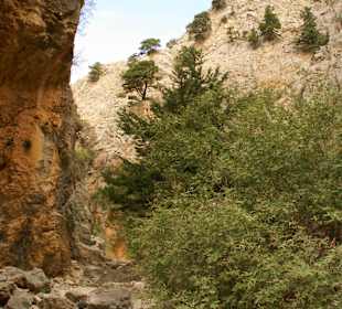 Imbros-Impressionen