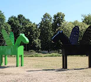 Stare miasto, rynek starego miasta