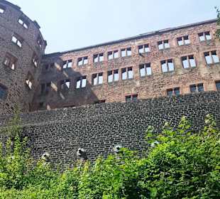 Schloss Heidelberg Hinten 