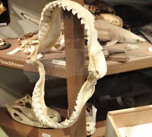 Impressionen aus der Sammlung des Museums