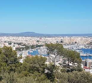 Hafen Palma de Mallorca