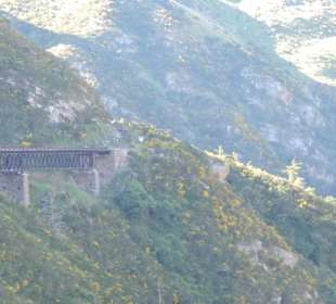 Mitder Taileri Railway durch die Natur Neuseelands