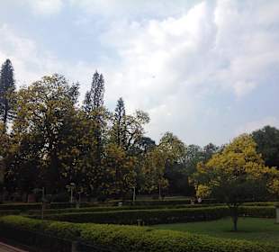 March is a lovely time to visit