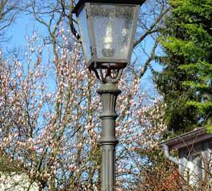 Impressionen aus der Altstadt von Wildeshausen