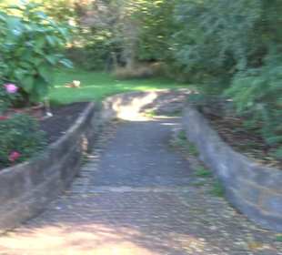 Botanischer Garten