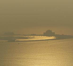 Eingeschränkter Blick auf die Palme