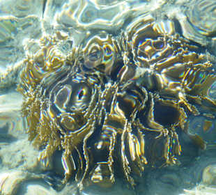 Schnorcheln Sharm el Sheikh