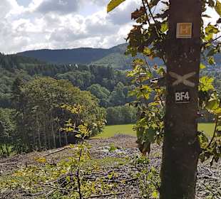 Wandern Schmallenberg