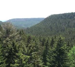 Naturparkzentrum Ruhestein