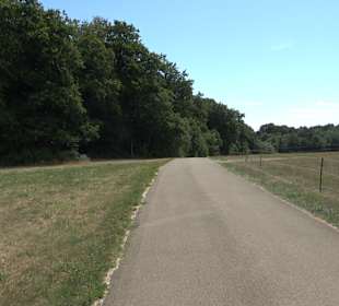 Wandertour Stahleck Greifenstein