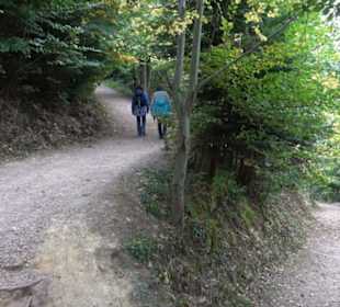 Baumkronenweg 