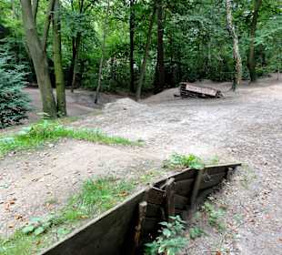Der BMX-Trail in Pellens Park