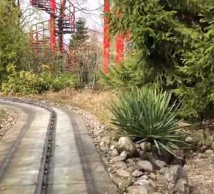 Land der Abenteuer - Safari Tour