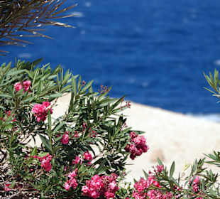 Spaziergang um das Riff