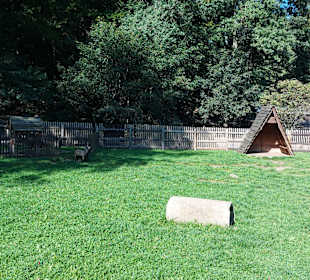 Wildpark Osterzgebirge