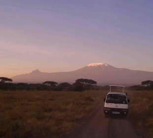 Sonnenaufgang im Amboseli