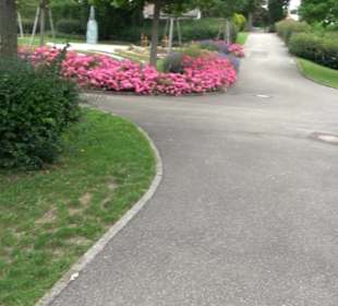 Friedhof Gomaringen