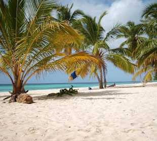 Strand Isla Saona