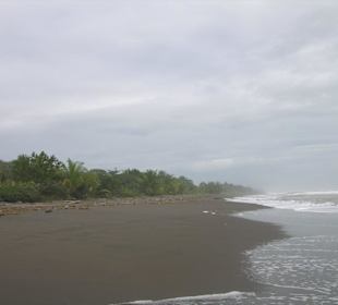 "Schöner"  Karibikstrand Tortuguero Nationalpark