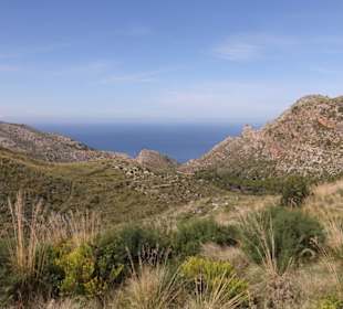 Am Beginn der Tramuntana