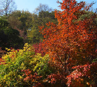 Sonniger warmer Oktobertag 