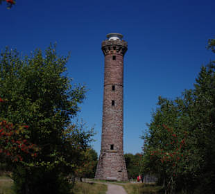 Hochlohturm (1000m/ü.M) beim Hochmoor Kaltenbronn