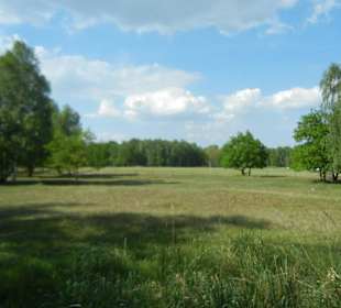 Naturschutzgebiet Boberger Niederung