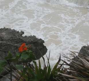 Blick von den Klippen auf das Meer