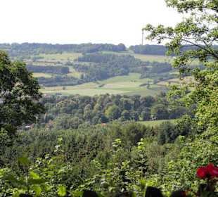 Ausblick