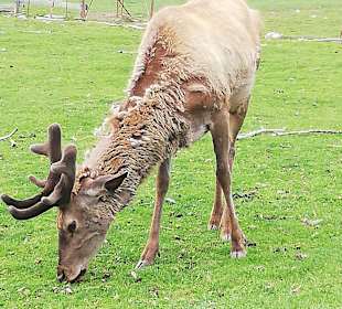 Freilichtmuseum Pstrążna