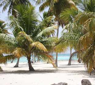 Isla Saona