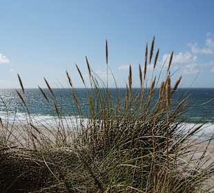 Wandern Gemeinde Sylt [Sylt]