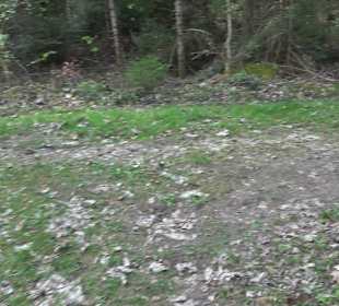 Walderlebnisweg Rottenburg