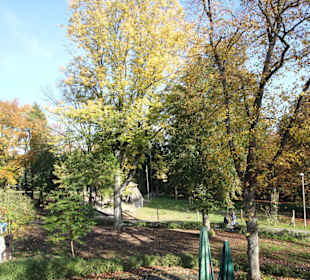 Blick zum Wildgatter 