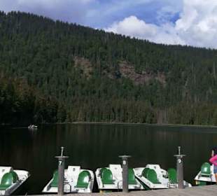 Tretboote am See, im Hintergrund die Arberseewand