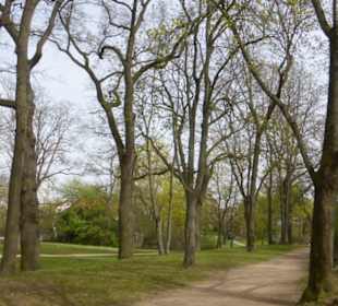 Unterwegs im Fichtelsgarten in Schweinfurt